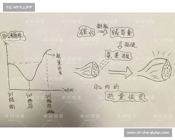 科学增肌全攻略 提高肌肉增长效率的训练与饮食方法解析 科学增肌全攻略 提高肌肉增长效率的训练与饮食方法解析
